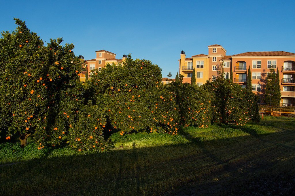 Urban Farming Solutions